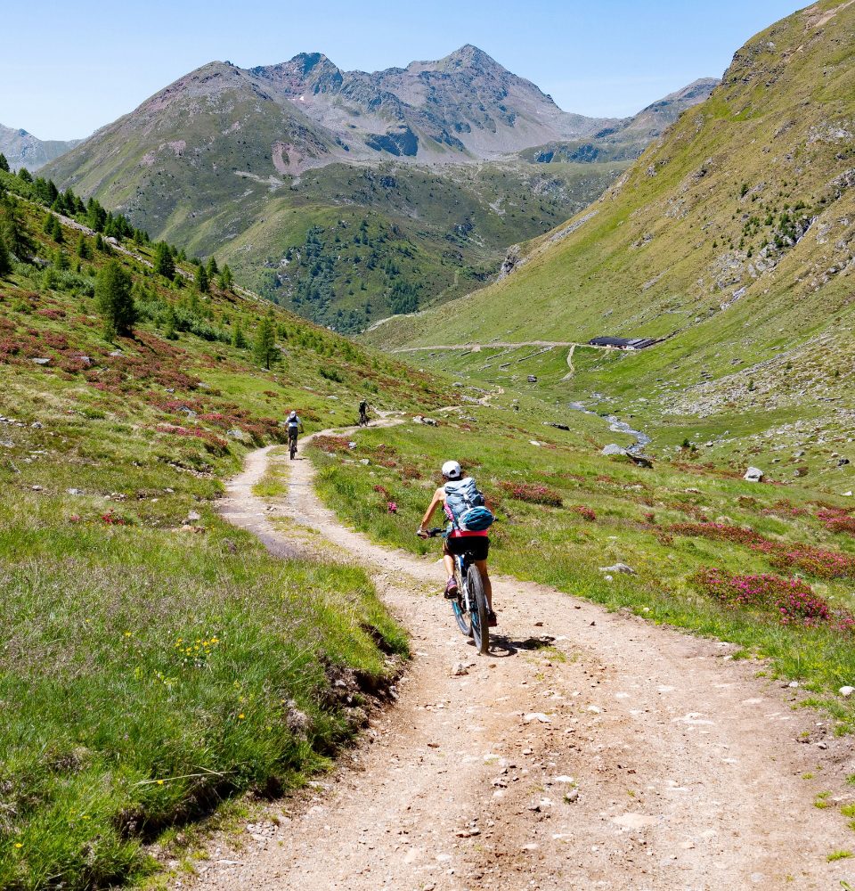 Ciclisti percorrono un sentiero di montagna circondato da verdi colline e vette maestose.