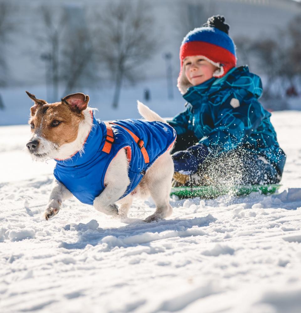 Bambino e cane giocano nella neve con giacche invernali colorate.